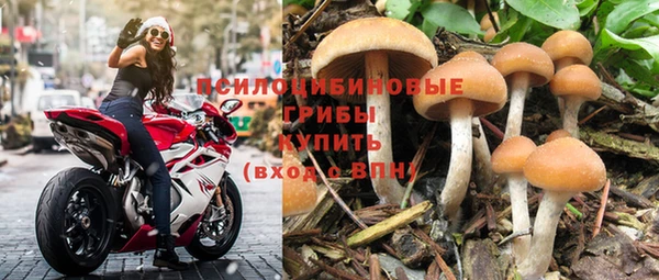первитин Алексеевка