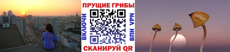 Псилоцибиновые грибы GOLDEN TEACHER  как найти наркотики  Дегтярск 